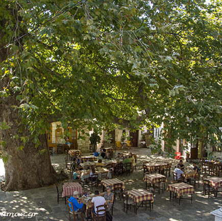 Καλοκαιρινές διακοπές στο Πήλιο.