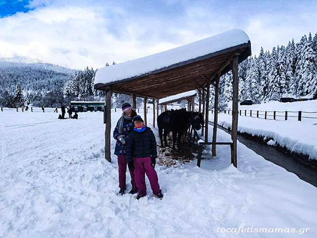Εκδρομή στην Ελάτη & Περτούλι.