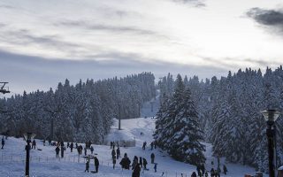 Εκδρομή στην Ελάτη & Περτούλι.