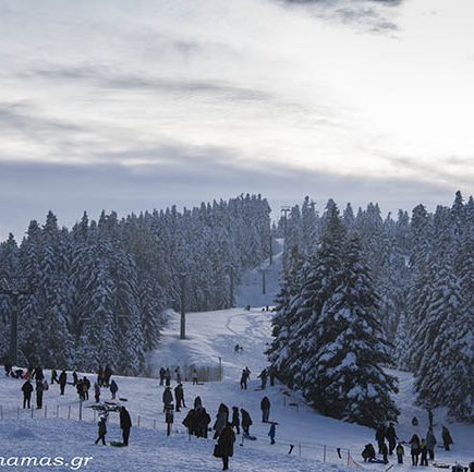 Εκδρομή στην Ελάτη & Περτούλι.