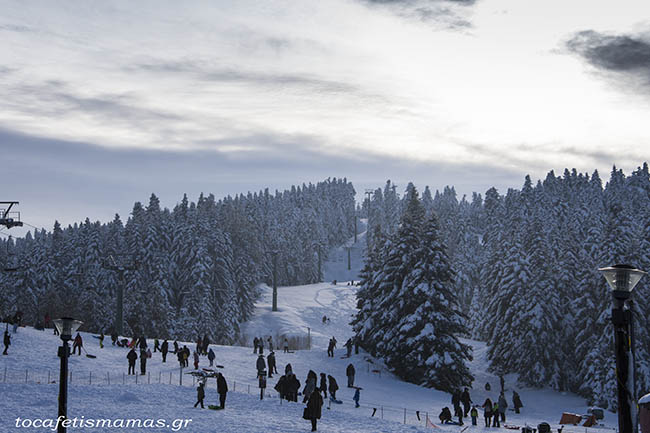 Εκδρομή στην Ελάτη & Περτούλι.