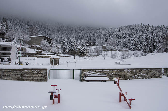Εκδρομή στην Ελάτη & Περτούλι.