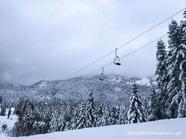 Εκδρομή στην Ελάτη & Περτούλι.