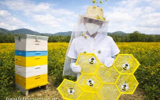 Πώς να φτιάξετε και εσείς μια αποκριάτικη στολή μελισσοκόμου (DIY).